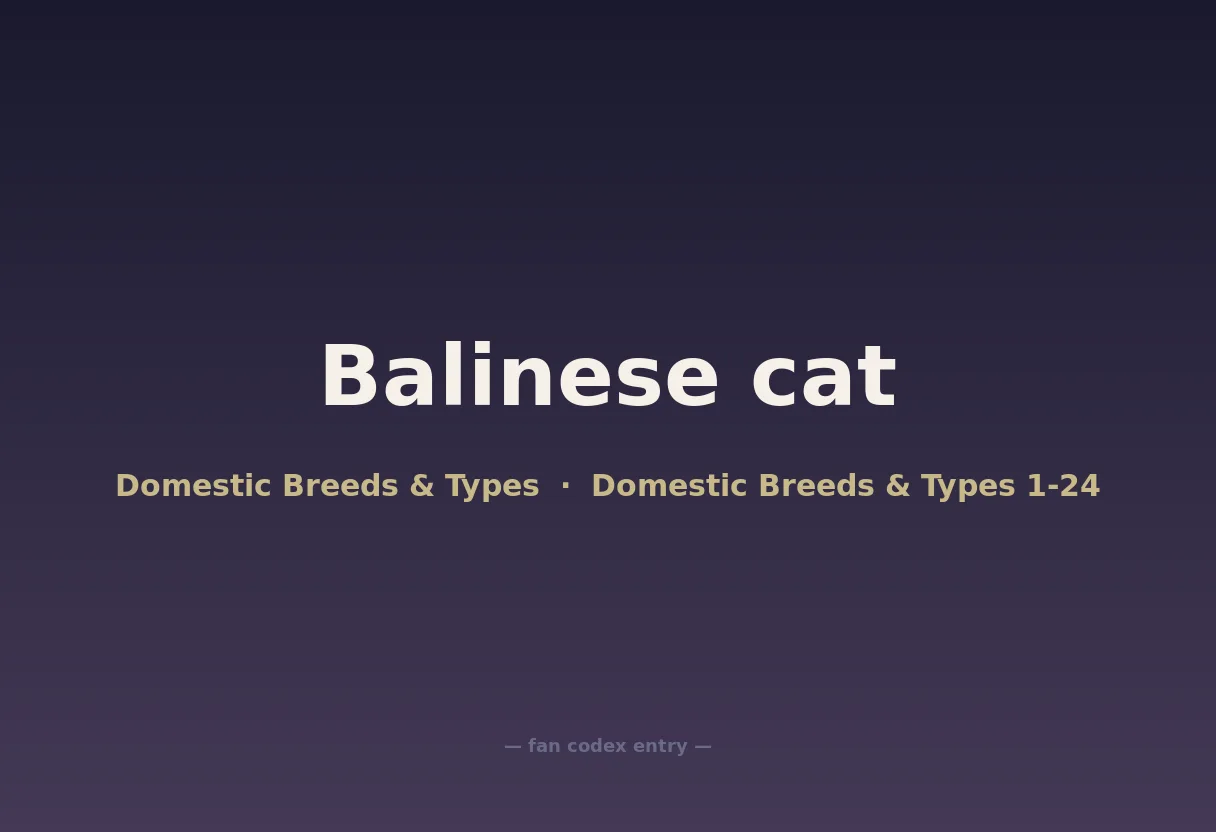 Balinese cat