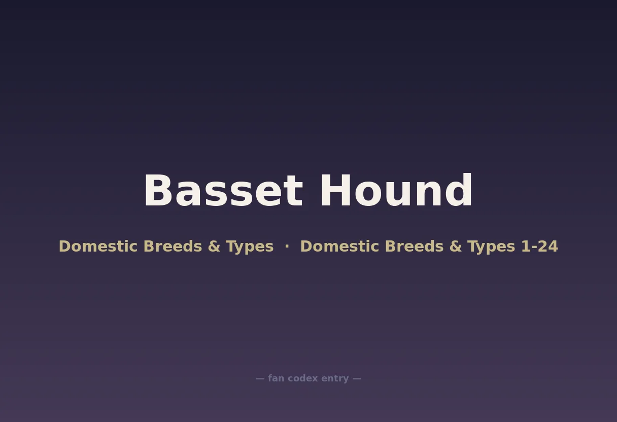 Basset Hound