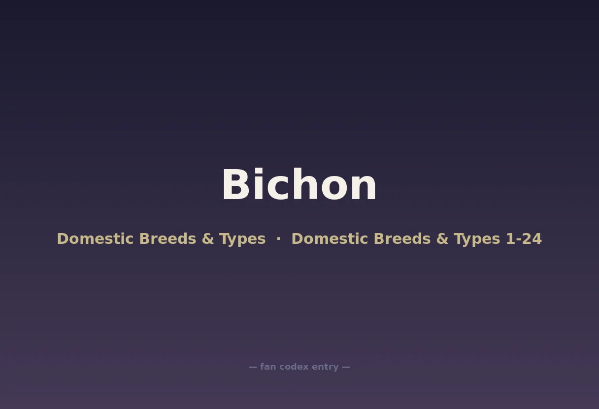 Bichon