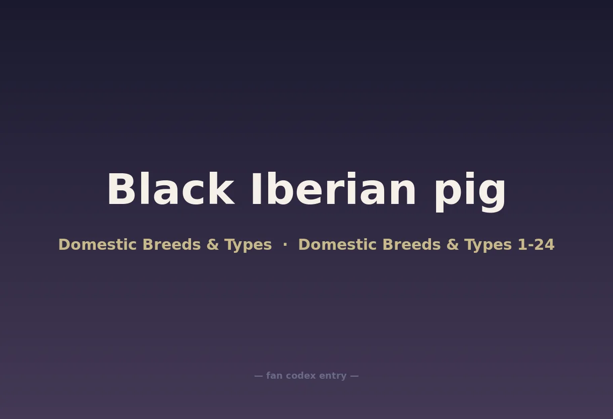 Black Iberian pig