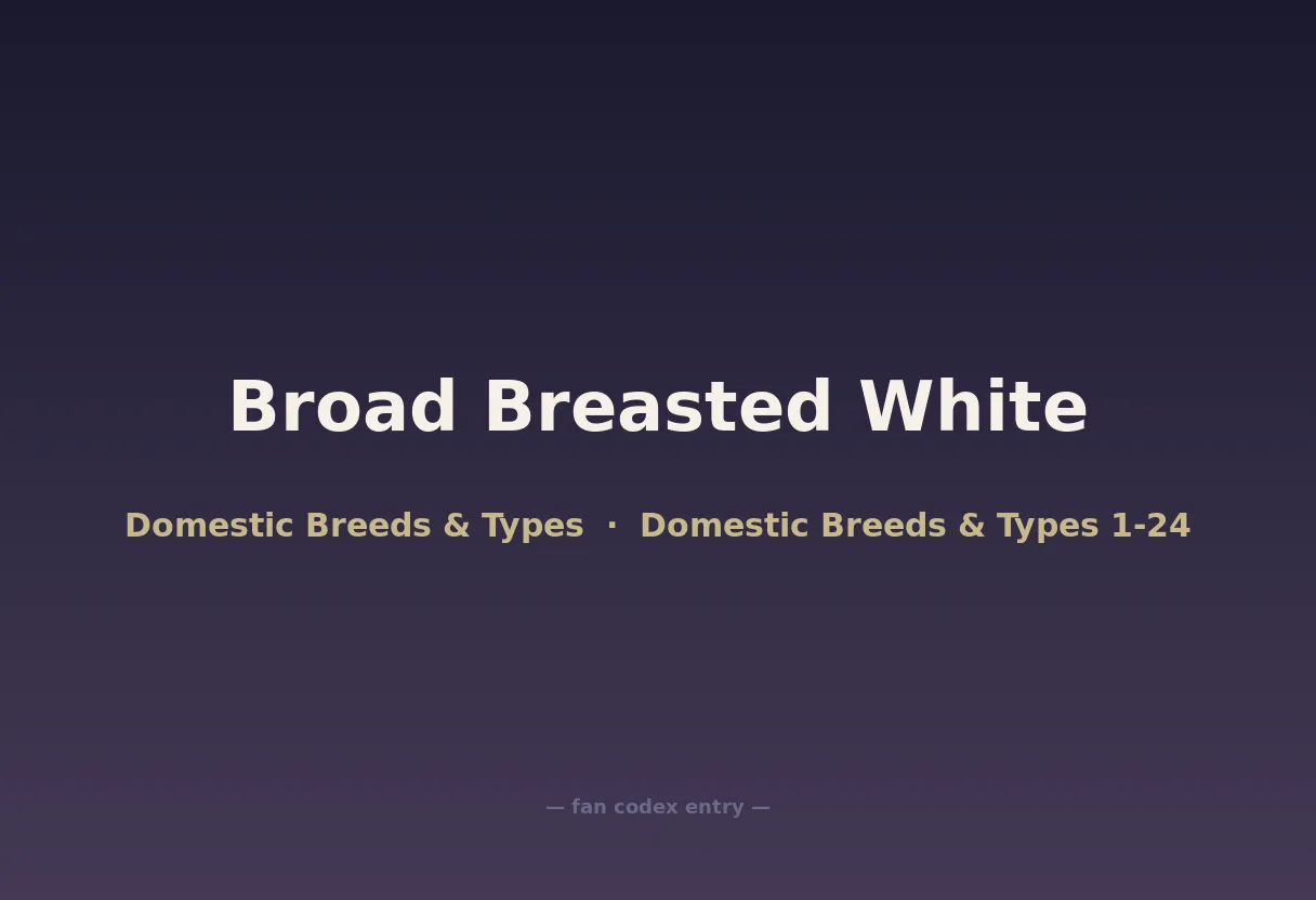 Broad Breasted White