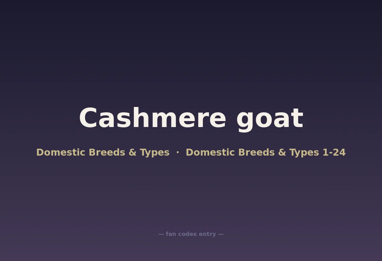 Cashmere goat