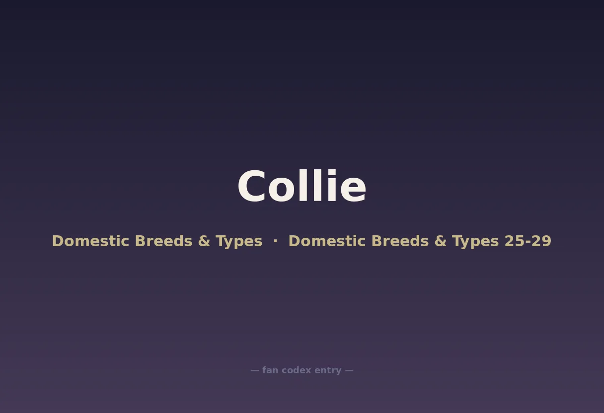Collie